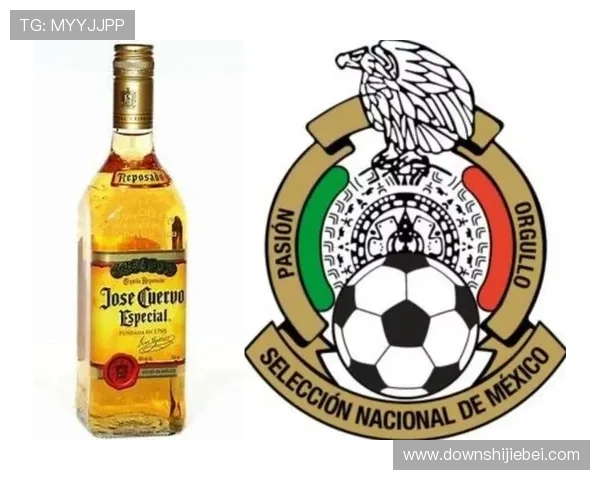 世界杯冠军次数排名榜最新更新，带你一览各国夺冠次数的详细统计与分析