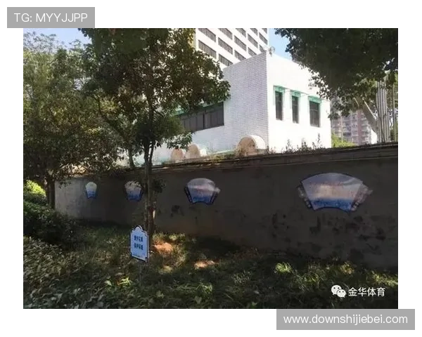 体育外围平台的合法性与风险分析避免陷入非法平台的实用建议与警示