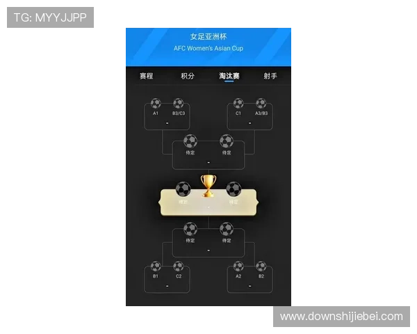 详细解析世界杯预选赛亚洲区出线球队的晋级路径与关键比赛